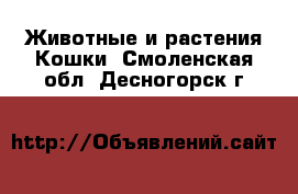 Животные и растения Кошки. Смоленская обл.,Десногорск г.